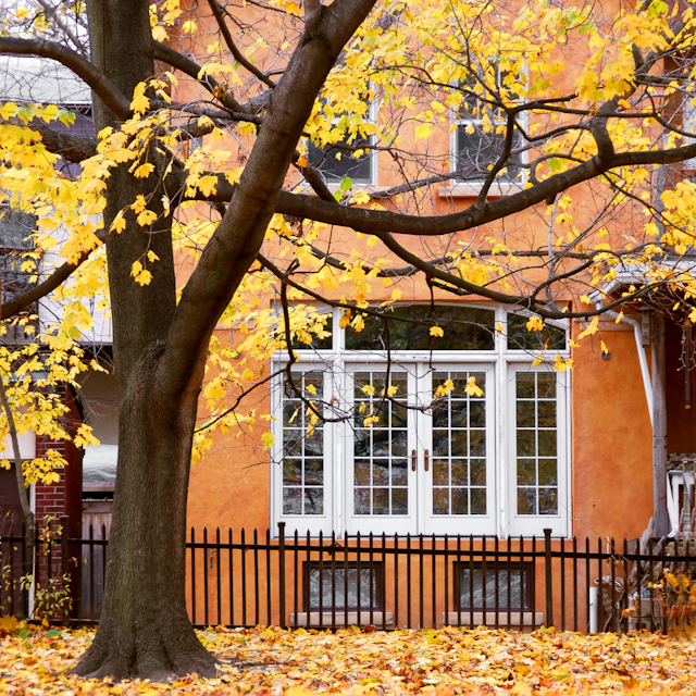 Der Herbst steht vor der Tür