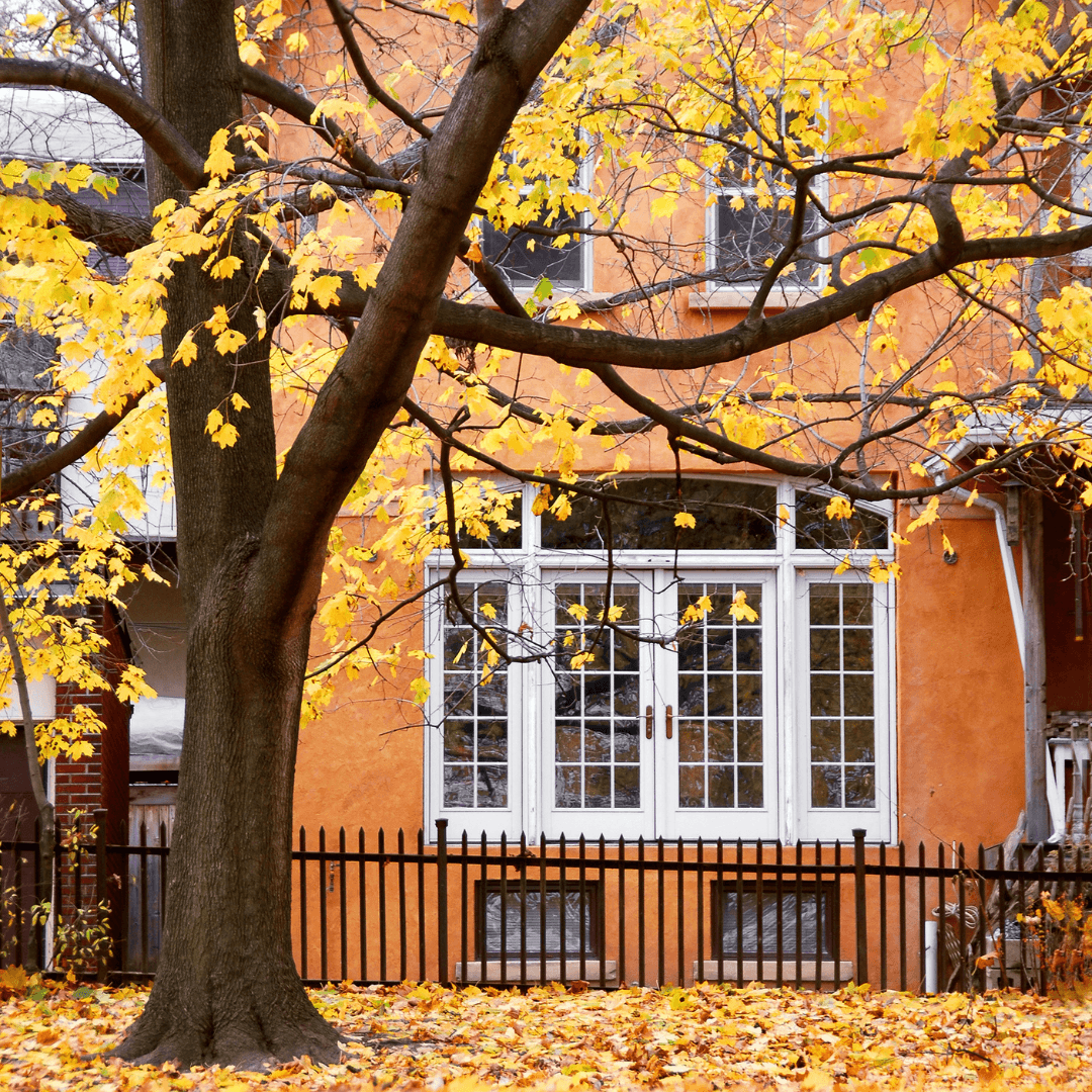Der Herbst steht vor der Tür